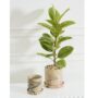 product-275684-1789661346-ACC01-0003282^2